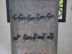 -上海醉白池公园