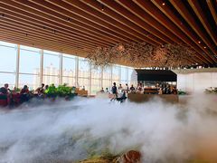 -Seesaw Coffee(朝阳大悦城店)