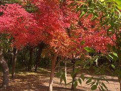 -长春市南湖公园