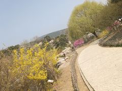 -北京西山国家森林公园