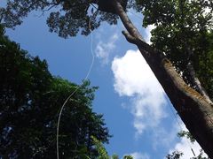 -清迈丛林飞跃 JungleFlight