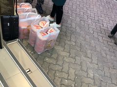 -珍妮曲奇聪明小熊(上环店)