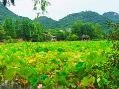 -贵阳市花溪国家城市湿地公园