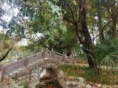 -花溪公园