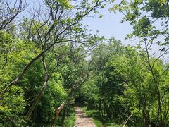 -南山风景名胜区