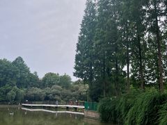 -黄兴公园