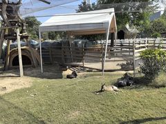 -祥源·阜阳生态乐园