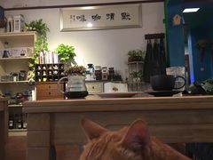 -默迹咖啡馆