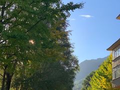 -洛阳白云山景区