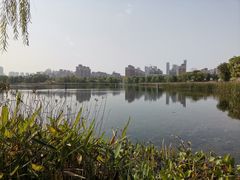 -武汉园博园(武汉自然博物馆)