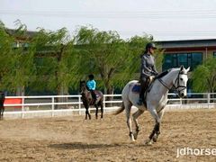 -月河湾马术俱乐部(朝阳店)