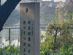 -重庆彩云湖湿地公园
