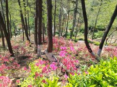 -青岛海滨风景区