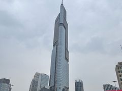 -紫峰大厦