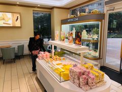 -蒲公英(五里店)