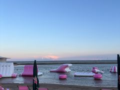 -碧海金沙