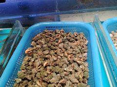-加餐海鲜自助(宝龙一城店)