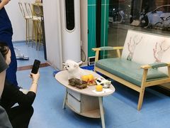 -博特宠物医院24h犬猫全科.骨科·异宠