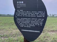 -盐城丹顶鹤湿地生态旅游区
