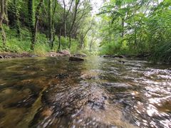 -碓臼峪自然风景区