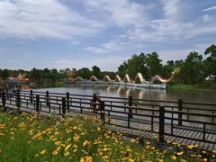 -溱湖国家湿地公园