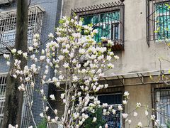 -莲湖公园