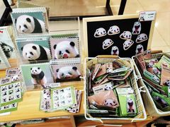 -熊猫邮局(少城店)