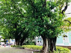 -龙环葡韵住宅式博物馆