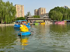 -团结湖公园
