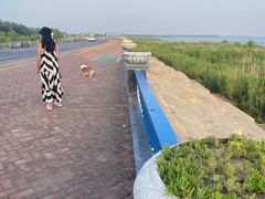 -合肥滨湖国家森林公园