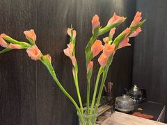 -真地道京味府·鲜橙烤鸭·北京菜(朝外大街东大桥店)