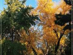 -元大都城垣遗址公园