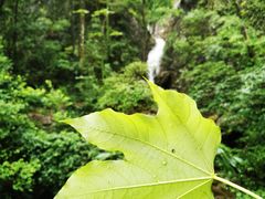 -雁荡山三折瀑景区