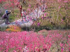 -桃花涧