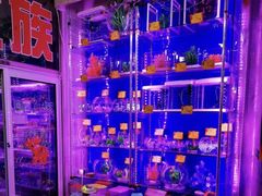 -宝鸡东道花鸟鱼虫市场(吉利花园商场店)