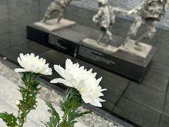 -侵华日军南京大屠杀遇难同胞纪念馆-停车场
