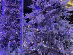 -世界之窗阿尔卑斯冰雪世界