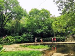 -白水寺森林公园