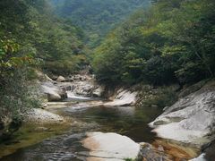 -涵家味土菜馆·徽州一绝臭鳜鱼(三河古镇店)