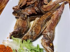 -纳瓦新疆菜(银都店)