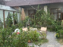 -Jo's Garden
