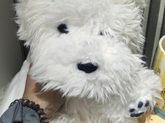-深圳湾万象城