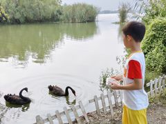 -长兴太湖图影湿地文化园