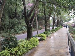 -金鸡山公园