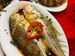 -蛇口康乐快餐鱼仔档(翠苑小区店)