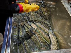 -黑鱼郭我家酸菜鱼(摩尔广场店)