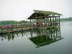 -溱湖国家湿地公园