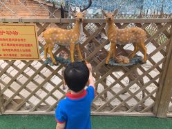 -萌宠亲子动物乐园(槐房万达店)