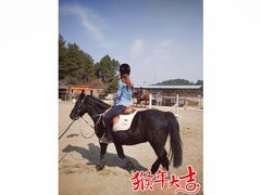 -枫露马术学院(藏书校区)