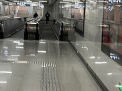 -汪记鲜鱼糊汤粉(沈阳路总店)